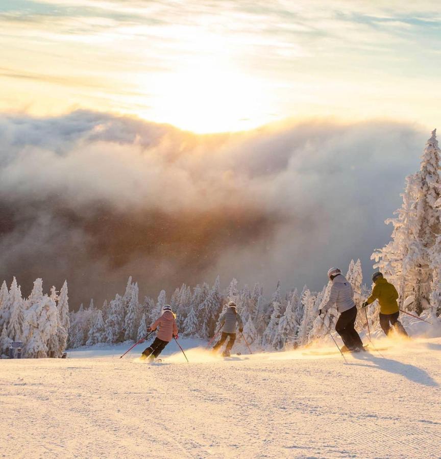Amazing Lakemountain View 5Min To Tremblant439 Mont-Tremblant Eksteriør billede